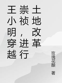 王小明穿越崇祯，进行土地改革