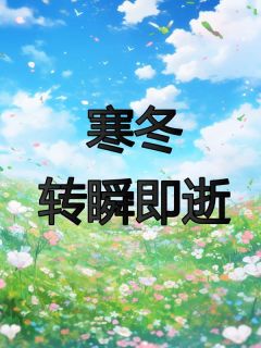 《寒冬，转瞬即逝》完整版-乔念萧忆安在线全文阅读