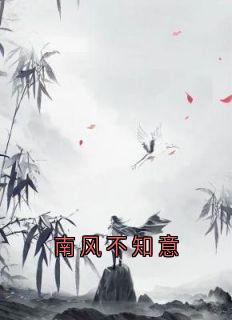 南风不知意