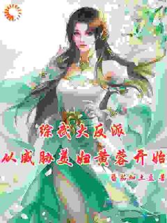 综武大反派：从威胁美妇黄蓉开始